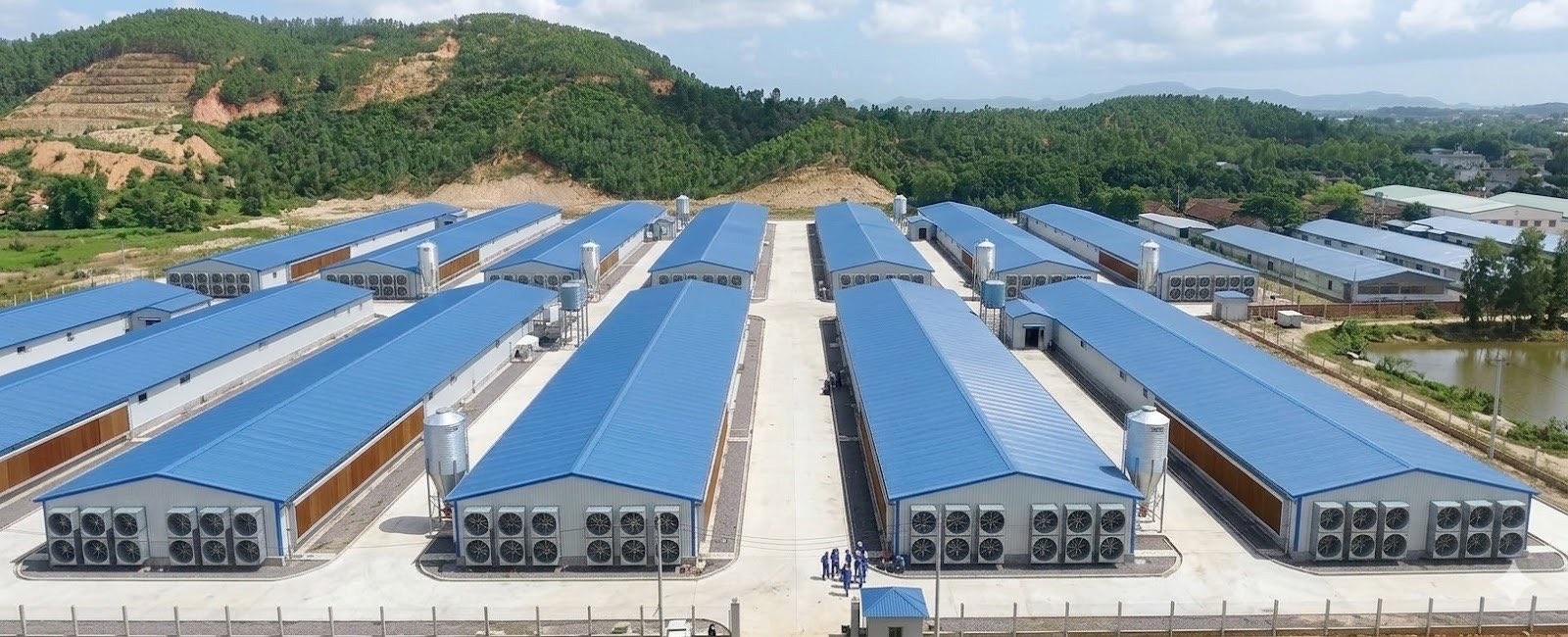 Steel Structure Poultry House