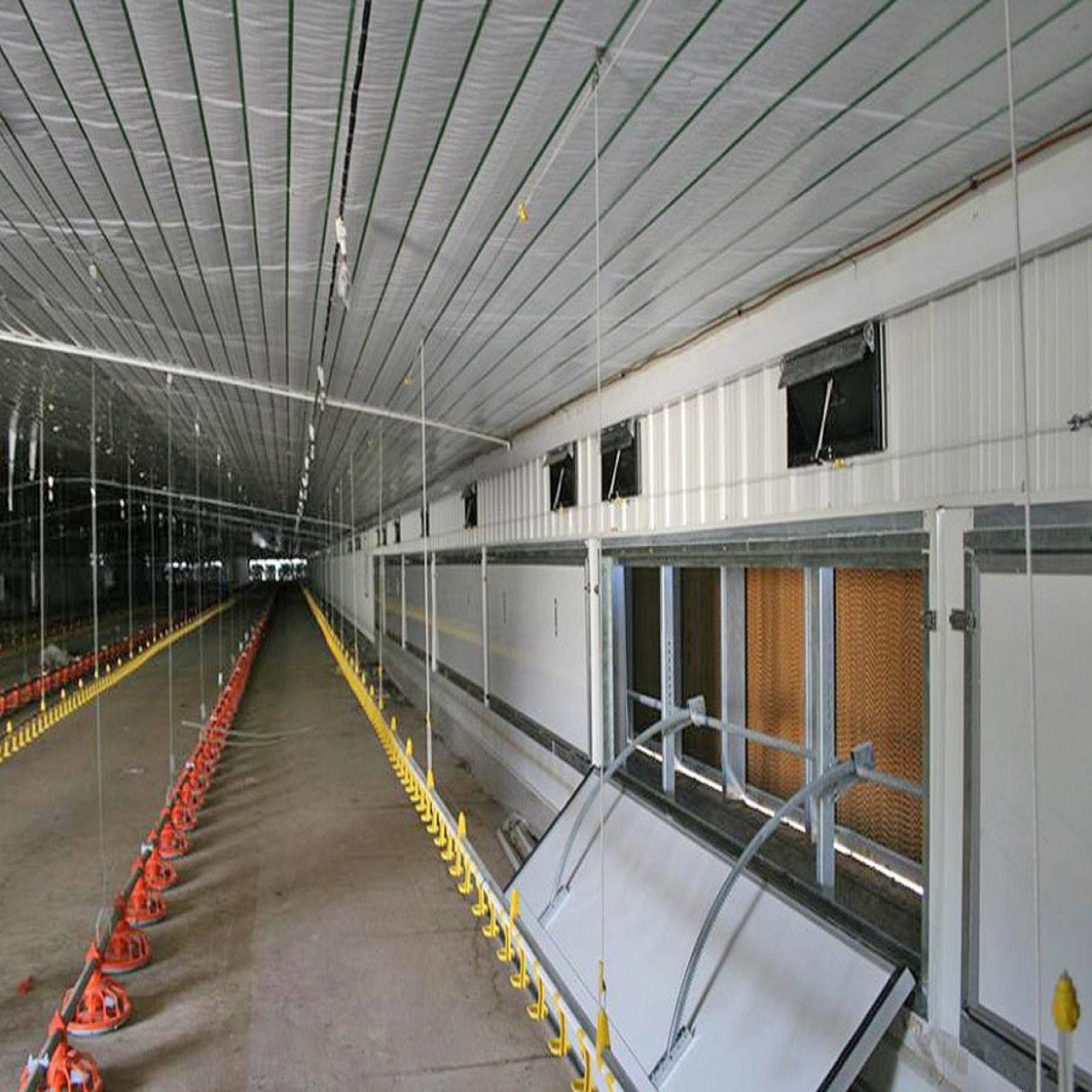 Poultry Complex, 8 Houses × 1,400 m² site photo 1